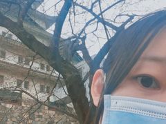 -名古屋城