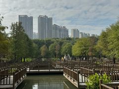 -五缘湾湿地公园