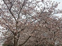 -石湖景区