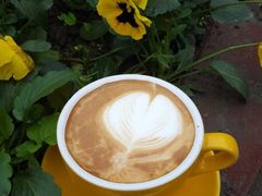 -森居forest休闲咖啡聚集地