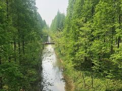 -黄海国家森林公园