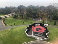 -墨尔本皇家植物园