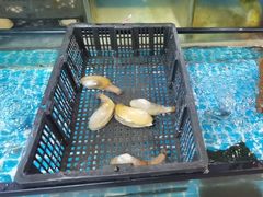 -王记新汕头肠粉炖汤