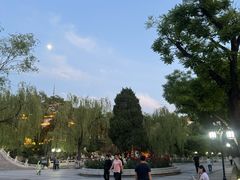 -文瀛公园
