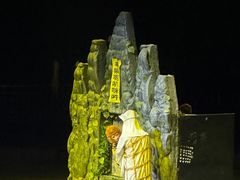 -灵玲国际马戏城