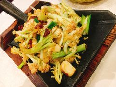 -邵年鸽(杨庄店)