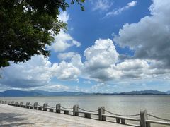 -深圳湾公园(南山区)