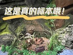 -阿哈湖国家湿地公园
