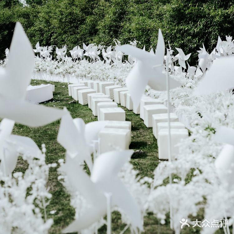 最美的年华，遇见最好的你，是一种难得的幸运