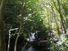 -神农架香溪源景区