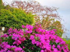 -鹿回头风景区