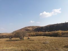 -御道口草原森林风景区