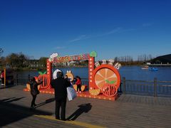 -上海长兴岛郊野公园