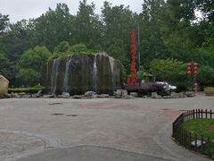 -合肥滨湖国家森林公园