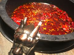 -销魂美蛙鱼头火锅(上海首店)