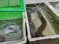 -外伶仃岛海鲜市场