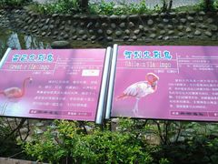 -广东茂名森林公园