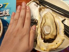 -千岛蚝高压锅生蚝·人参火锅(白云万达店)