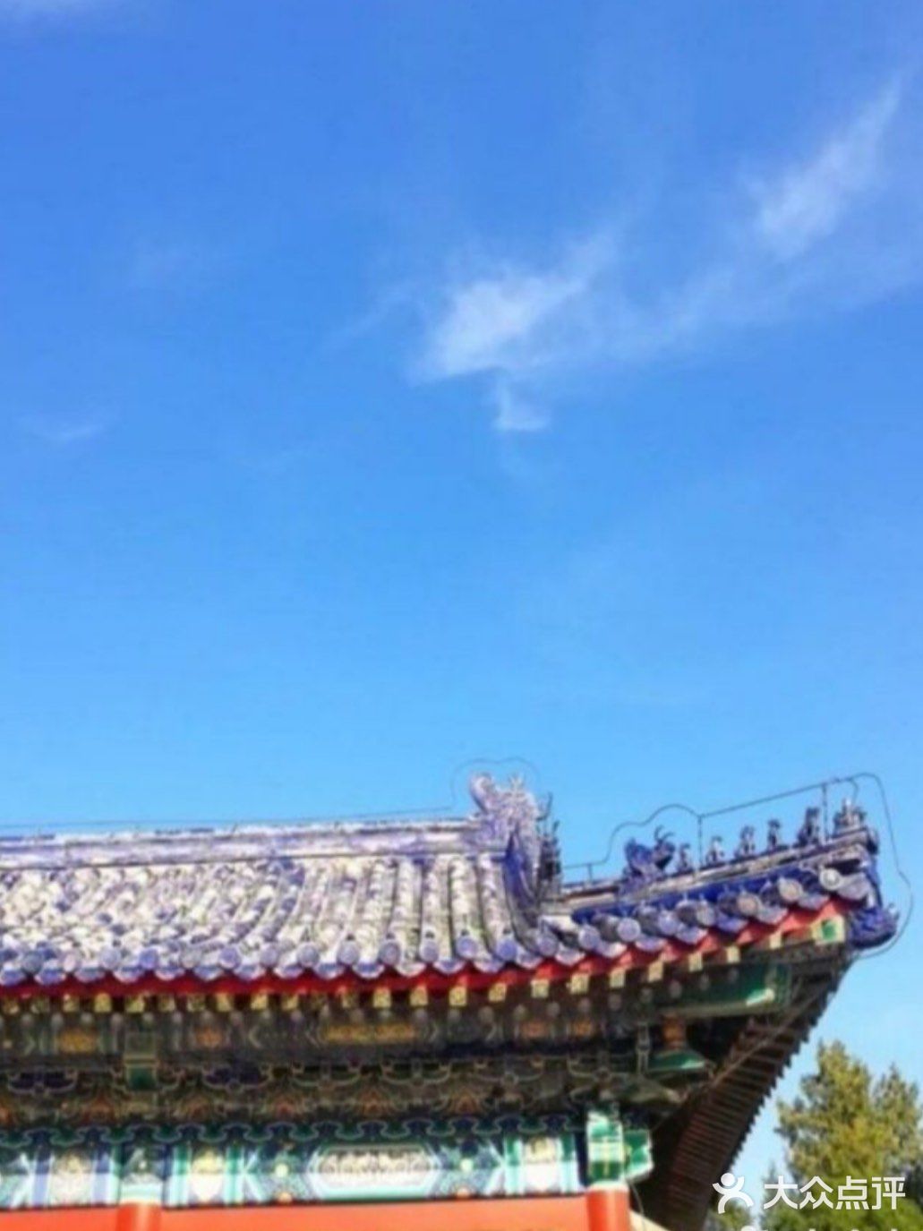 29元就能收获268的快乐！