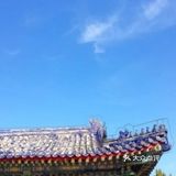 29元就能收获268的快乐！