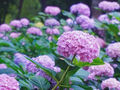 -常州古运河南大街文化旅游区-人民公园