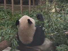 -杭州动物园