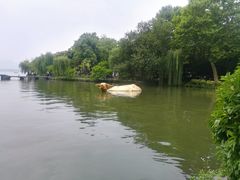 -西湖天地