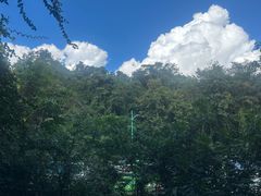 -野象谷景区