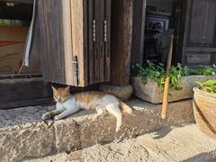 -黎里古镇
