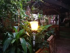 -Jungle Kitchen