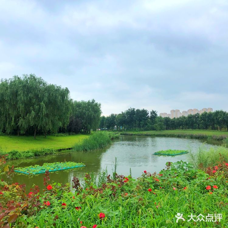 醉美聊城—九州洼月季公园