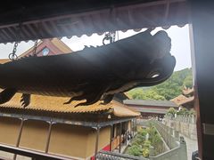 -普陀山风景名胜区-法雨禅寺