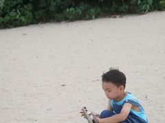 -巴拉湾海滩