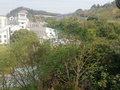 -福道
