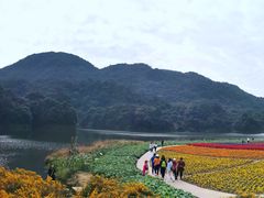 -广州市石门国家森林公园