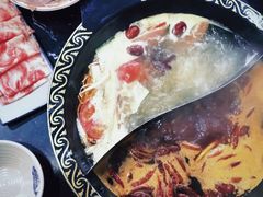 -重庆川渝肥妹火锅