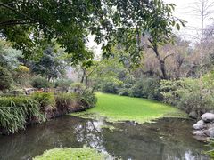 -桂湖森林公园