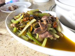 泡椒鸡杂-先机泉水鸡汤(南山老君洞店)