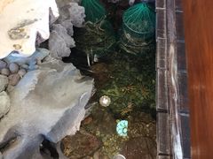 -蟹道乐(網元別館店)