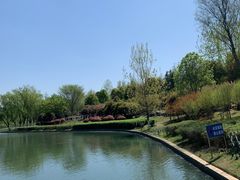 -滨湖塘西河公园