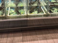 -营信刘罗锅铁锅炖(建华店)