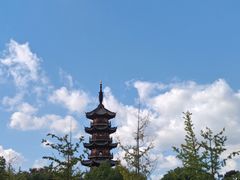 -龙华素斋(龙华路店)