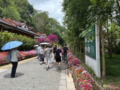-野象谷景区
