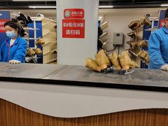 -世界之窗阿尔卑斯冰雪世界