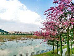 -风云岭森林公园