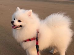 -烟台金沙滩海滨公园