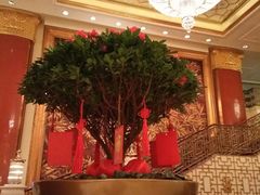 -北京中国大饭店