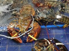 水产区-79号渔船海鲜饭店(华强北店)