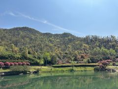 -桃花岭景区