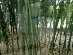 -上海中医药大学附属曙光医院(东部)